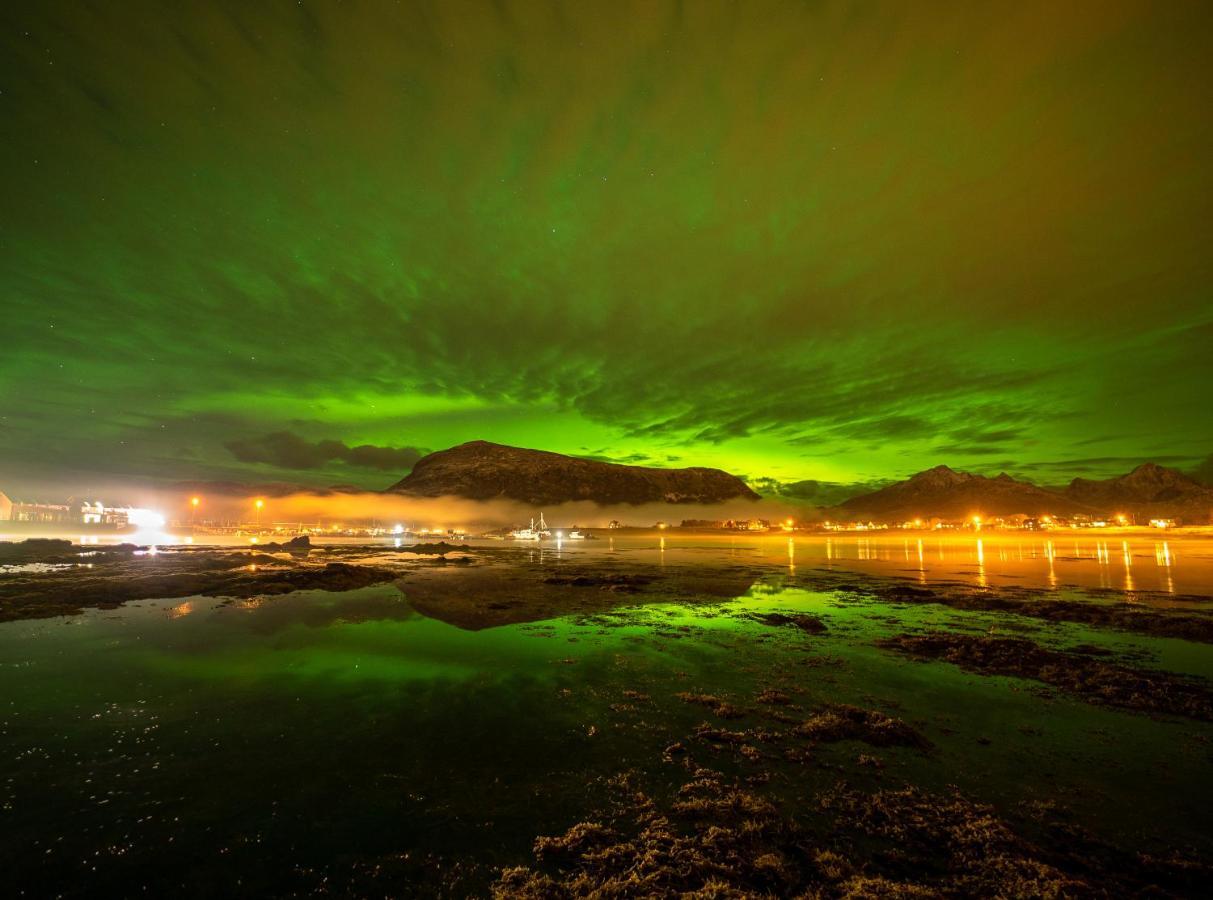 Lofoten Rorbuutleie - Lilleeidet Gravdal  Ngoại thất bức ảnh